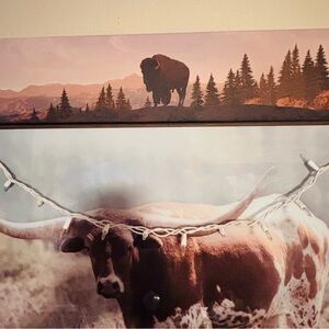 Rustic western bison in forest. Only